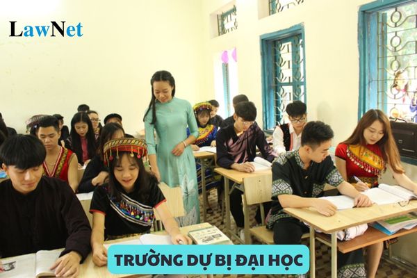 Chức năng của trường dự bị đại học là gì?