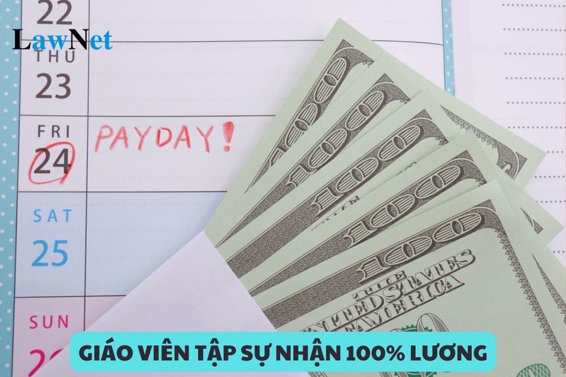 Giáo viên tập sự được nhận 100% lương trong trường hợp nào?