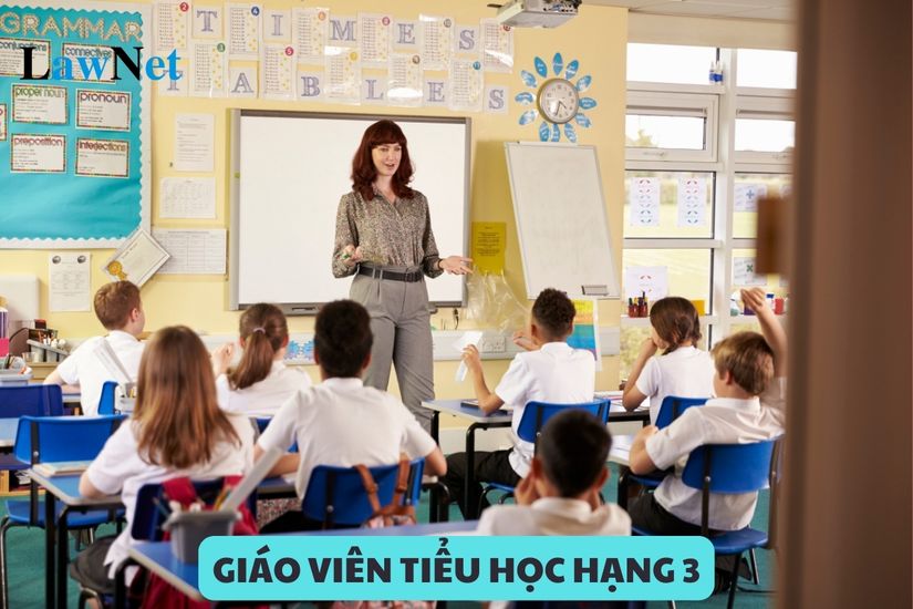 Giáo viên tiểu học hạng 3 có phải tham gia nghiên cứu khoa học sư phạm?