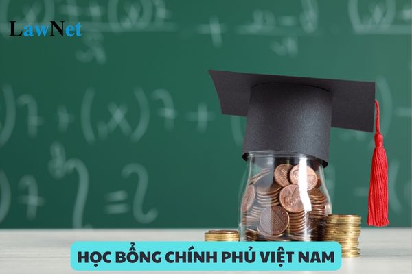 What rights do foreign students in Vietnam on a Vietnamese government scholarship have?