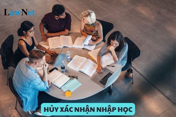 Hủy xác nhận nhập học đại học có được không?