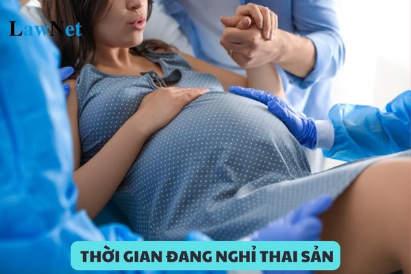 Trong thời gian đang nghỉ thai sản đơn vị có ra quyết định kỷ luật giáo viên nữ  được hay không? 