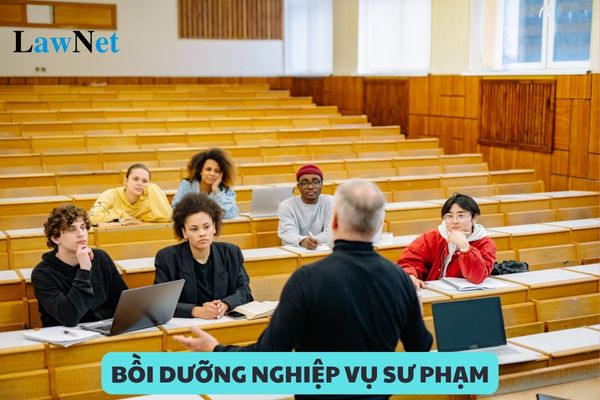 Khi nào được cấp chứng chỉ bồi dưỡng nghiệp vụ sư phạm?