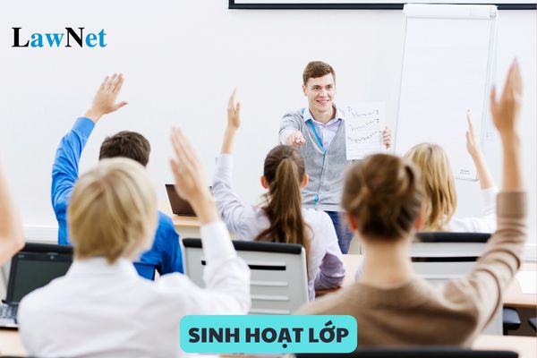 Kịch bản tiết Sinh hoạt lớp mới nhất năm học 2024 2025? Cách tổ chức tiết Sinh hoạt lớp?