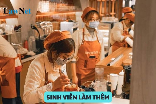 Sinh viên làm thêm có phải ký hợp đồng lao động không? Được trả lương theo giờ ra sao?