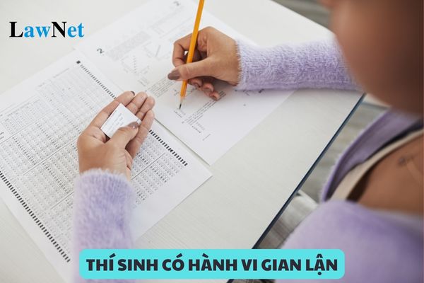 Thí sinh có hành vi gian lận trong quá trình đăng ký dự tuyển sẽ bị xử lý như thế nào?