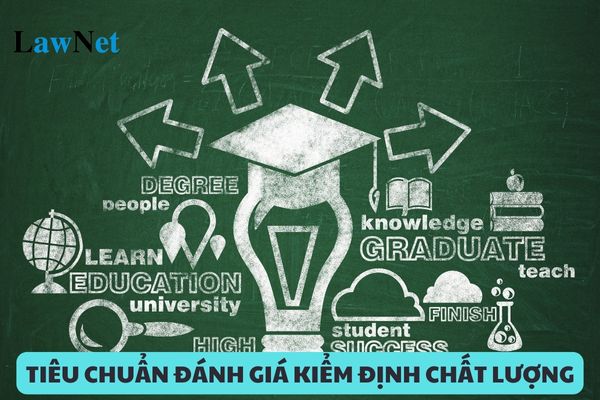 Bộ tiêu chuẩn đánh giá tổ chức kiểm định chất lượng giáo dục đại học và cao đẳng sư phạm theo quy định hiện nay?