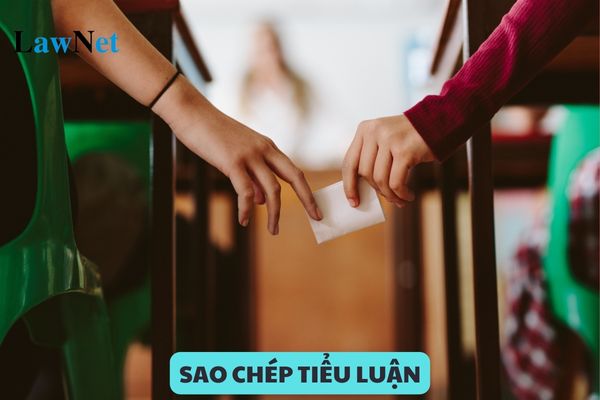 Sinh viên đại học chính quy cho người khác sao chép tiểu luận có bị kỷ luật không?