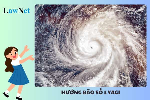 Are students affected by Tropical Storm Yagi No. 3 eligible for tuition fee exemption?