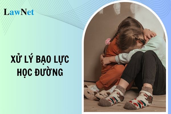 Xử lý như thế nào xảy ra bạo lực học đường? 