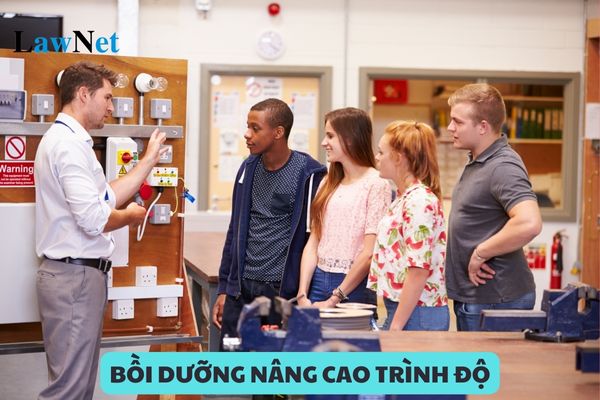 Mẫu đơn xin học bồi dưỡng nâng cao trình độ chuyên môn giáo viên?