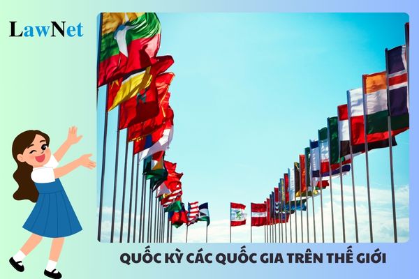 Quốc kỳ của tất cả các quốc gia trên thế giới? Học sinh lớp mấy phải nhận biết được một số lưới kinh vĩ tuyến của bản đồ thế giới?