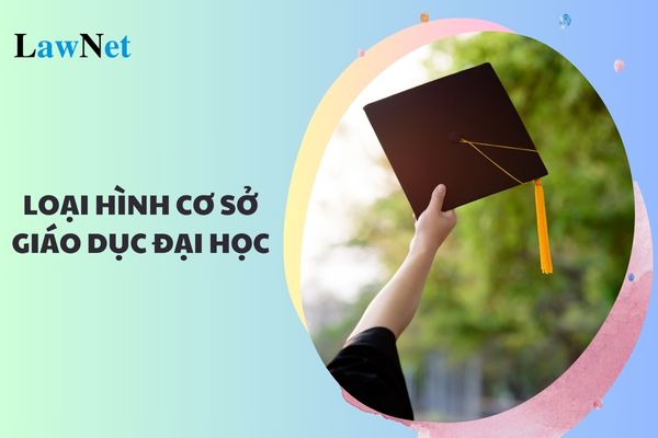 Loại hình cơ sở giáo dục đại học bao gồm những loại hình nào?