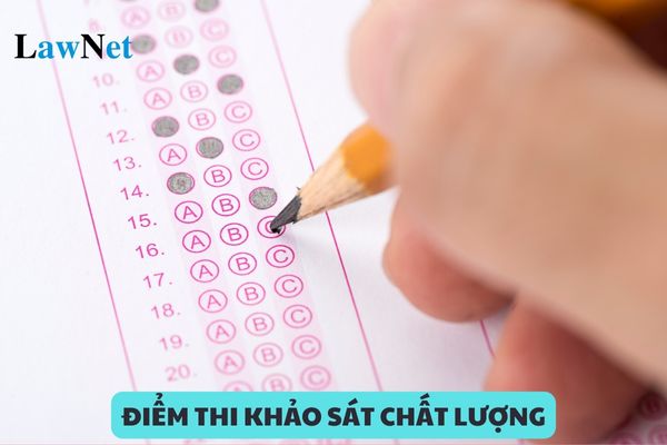 Điểm thi khảo sát chất lượng có dùng để tính trung bình môn không?