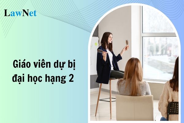 Tiêu chuẩn của Giáo viên dự bị đại học hạng 2 về trình độ đào tạo, năng lực chuyên môn như thế nào?