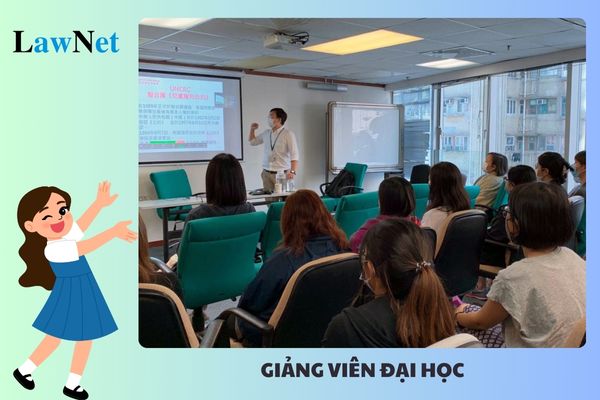 Giảng viên đại học có trình độ nào có thể kéo dài thời gian làm việc kể từ khi đủ tuổi nghỉ hưu để giảng dạy?