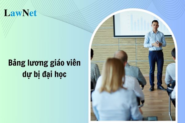 Bảng lương giáo viên dự bị đại học mới nhất năm 2024?