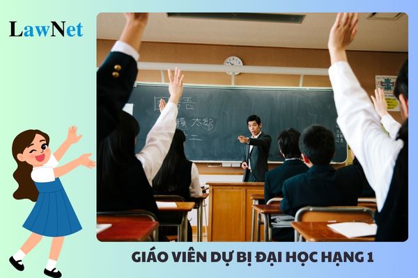 Tiêu chuẩn năng lực chuyên môn của Giáo viên dự bị đại học hạng 1 là gì?