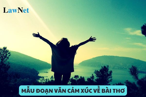 Mẫu đoạn văn cảm xúc về bài thơ bốn chữ, năm chữ lớp 7 mới nhất 2024?