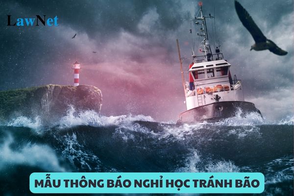 Mẫu Thông báo nghỉ học tránh bão mới nhất 2024?