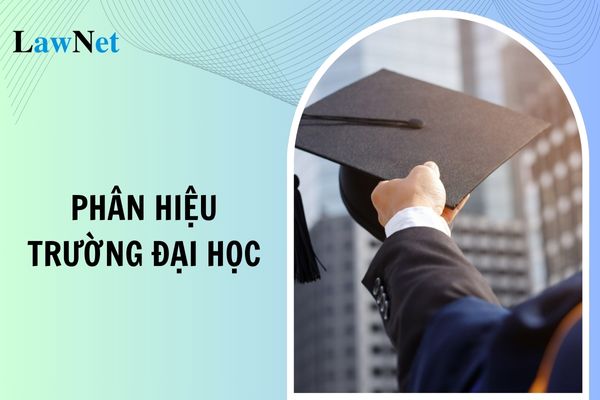 Phân hiệu trường đại học bị giải thể trong trường hợp nào?