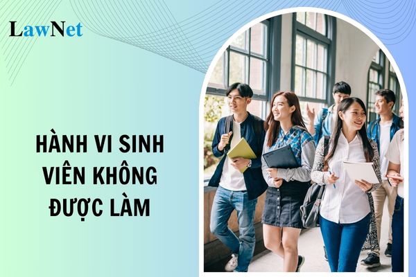 Các hành vi sinh viên đại học không được làm gồm những hành vi nào?