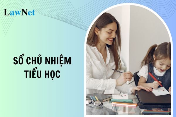 Mẫu sổ chủ nhiệm tiểu học năm học 2024-2025?