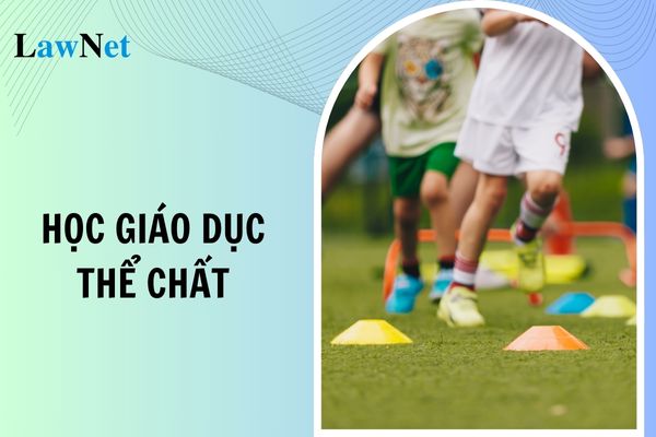 Sinh viên đại học có bắt buộc học giáo dục thể chất không?