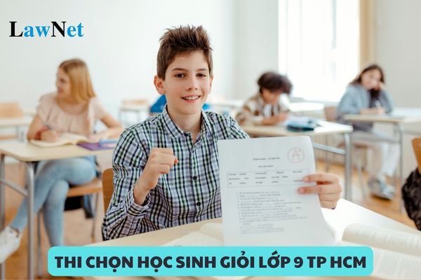 Hướng dẫn tổ chức kỳ thi chọn học sinh giỏi lớp 9 Tp HCM năm học 2024 2025?