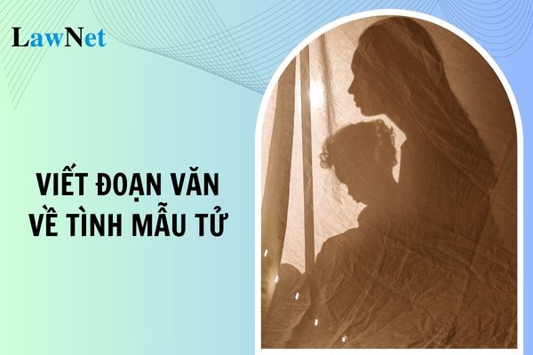 Mẫu viết đoạn văn về tình mẫu tử lớp 8? Học sinh lớp 8 phải đạt được năng lực văn học như thế nào?