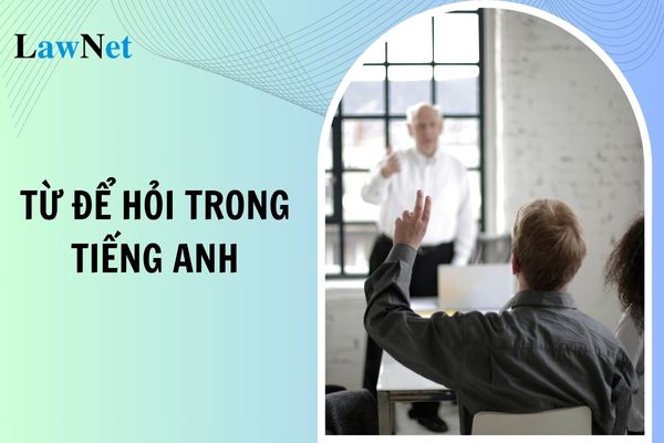 Các từ để hỏi trong tiếng anh và hướng dẫn cách dùng? Học sinh lớp mấy bắt buộc học môn Tiếng Anh? 