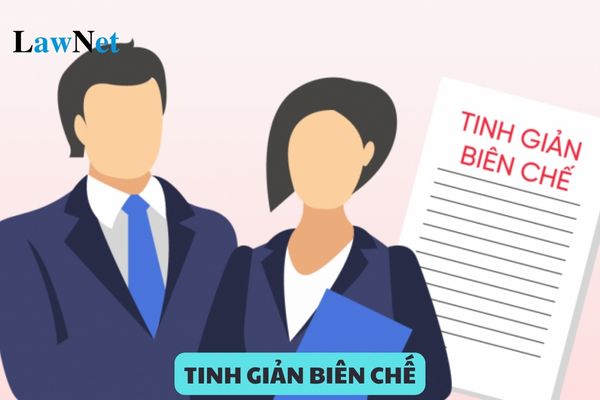 Nguyên tắc tinh giản biên chế giáo viên như thế nào?