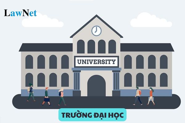 Quyền tự chủ của trường đại học được thể hiện như thế nào?