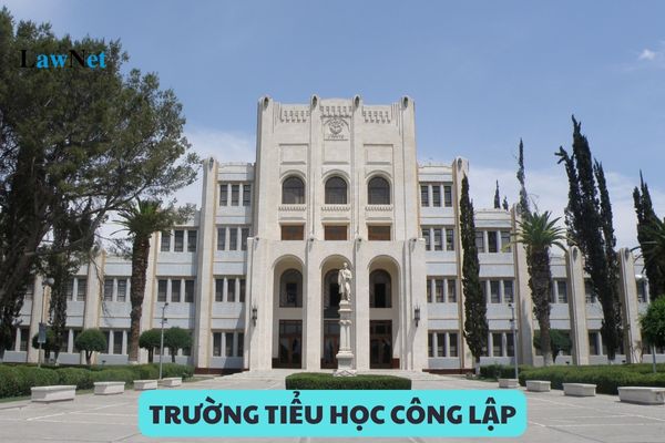 Trong trường tiểu học công lập có những hội đồng nào? Thẩm quyền thành lập các hội đồng trong trường tiểu học?