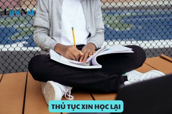 Hướng dẫn thủ tục xin học lại cấp 3 mới nhất hiện nay?