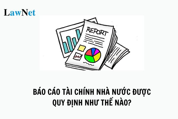 Báo cáo tài chính Nhà nước được quy định như thế nào? Quy định về hình thức và thời hạn công khai báo cáo tài chính?