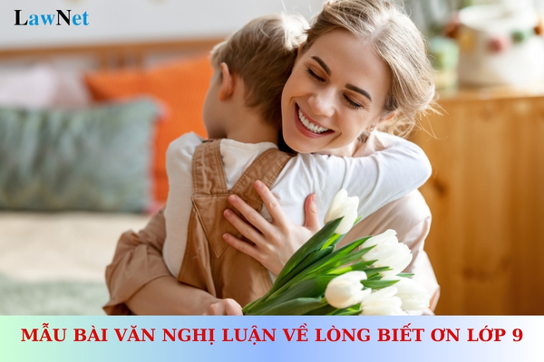 Mẫu bài văn nghị luận về lòng biết ơn lớp 9? Học sinh lớp 9 có được giảm giá vé dịch vụ công cộng không?