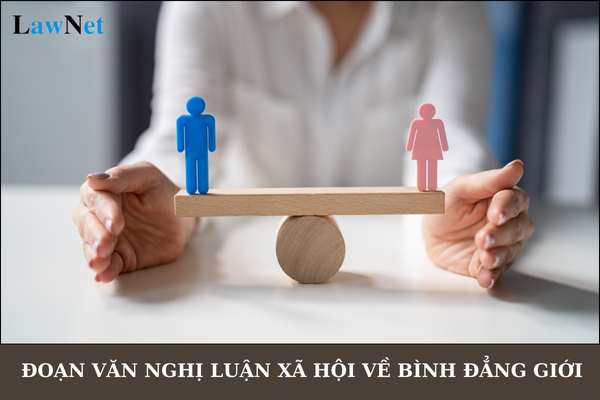 Top 3 đoạn văn nghị luận xã hội về bình đẳng giới lớp 11? Chương trình giáo dục phổ thông được thực hiện theo lộ trình nào?