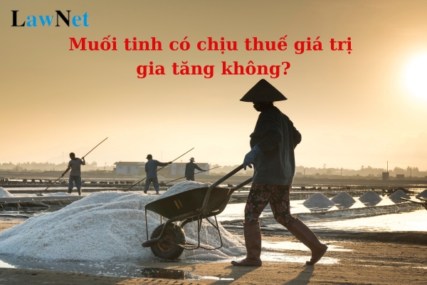 Muối tinh có chịu thuế giá trị gia tăng không? Phương pháp tính thuế giá trị gia tăng là gì?