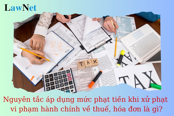 Nguyên tắc áp dụng mức phạt tiền khi xử phạt vi phạm hành chính về thuế, hóa đơn là gì?