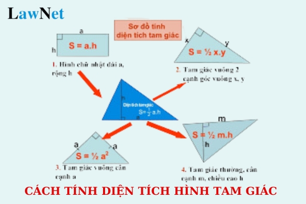 Tổng hợp công thức tính diện tích tam giác mới nhất? Phướng pháp dạy học môn Toán phải đáp ứng yêu cầu cơ bản nào?