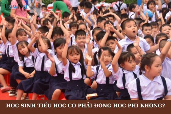 Học sinh tiểu học có phải đóng học phí không? Học sinh thuộc các đối tượng nào sẽ được miễn học phí?