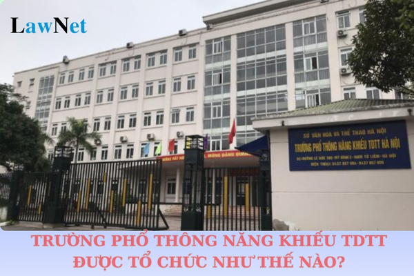 Trường phổ thông năng khiếu thể dục thể thao được tổ chức như thế nào?