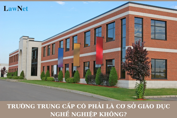 Trường trung cấp có phải là cơ sở giáo dục nghề nghiệp không?