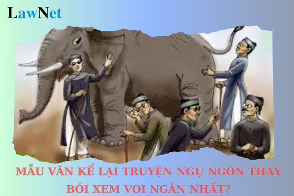 Mẫu văn kể lại truyện ngụ ngôn Thầy bói xem voi ngắn nhất? Kiến thức văn học môn Ngữ văn của học sinh lớp 7 gồm những gì?