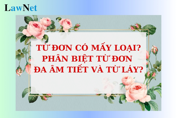 Từ Đơn Đa Âm Tiết Là Gì? Phân Loại, Đặc Điểm và Ứng Dụng Chi Tiết