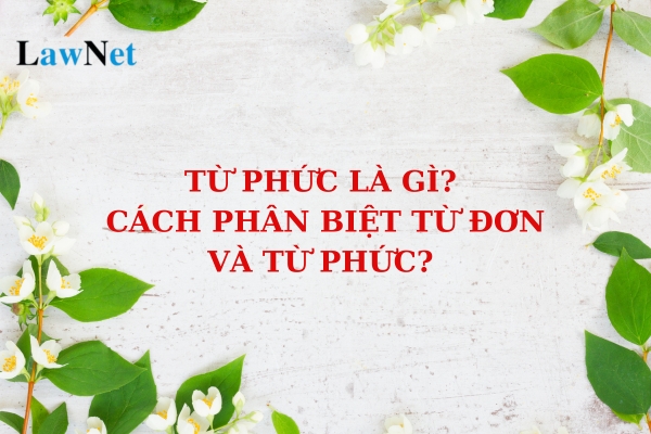 Từ phức là gì? Cách phân biệt từ đơn và từ phức? Đánh giá định kì đối với học sinh trung học cơ sở được thực hiện như thế nào?