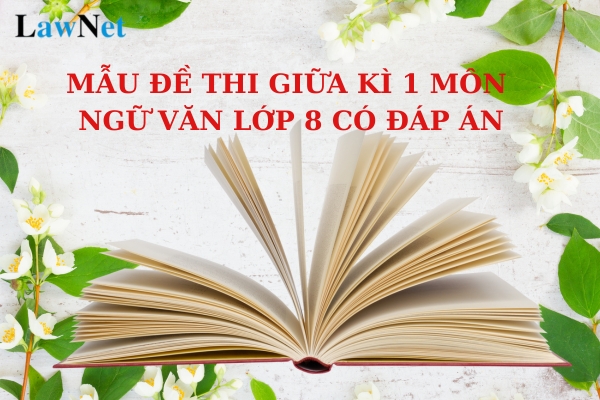 Mẫu đề thi giữa kì 1 môn Ngữ văn lớp 8 có đáp án? Kiến thức tiếng Việt môn Ngữ văn lớp 8 gồm những gì?