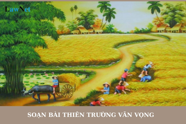 Soạn bài Thiên trường vãn vọng ngắn nhất? Môn học nào là môn học bắt buộc trong chương trình lớp 8?