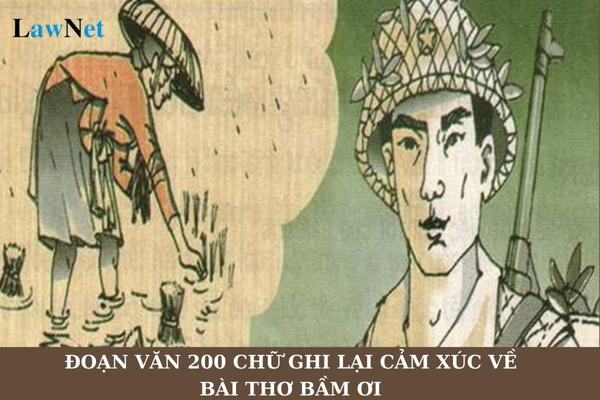 Mẫu đoạn văn 200 chữ ghi lại cảm xúc về bài thơ Bầm ơi lớp 6? Mỗi lớp học cấp trung học cơ sở có tối đa bao nhiêu học sinh